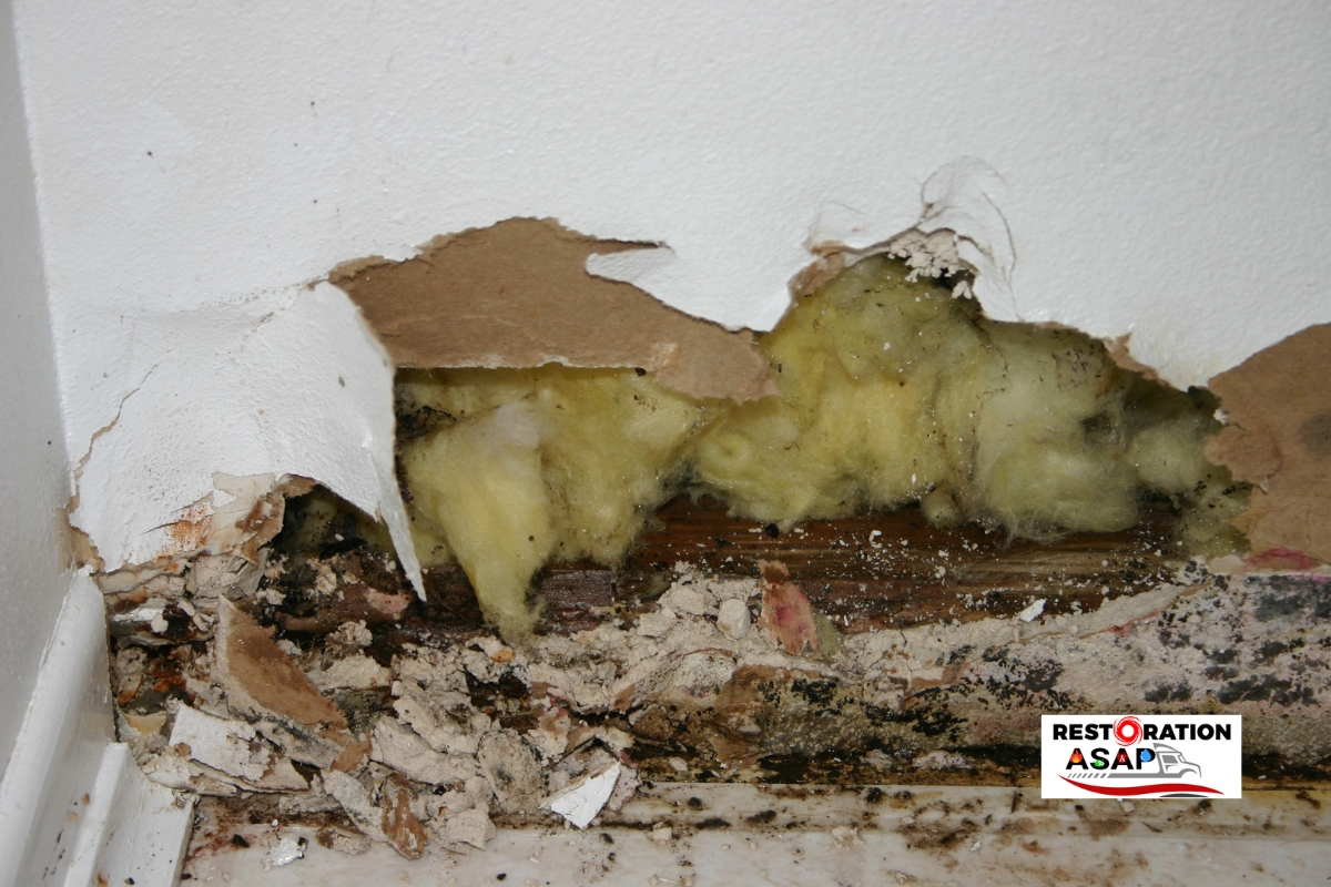 Restoration ASAP mold and mildew damaged wall from water damage near me RI