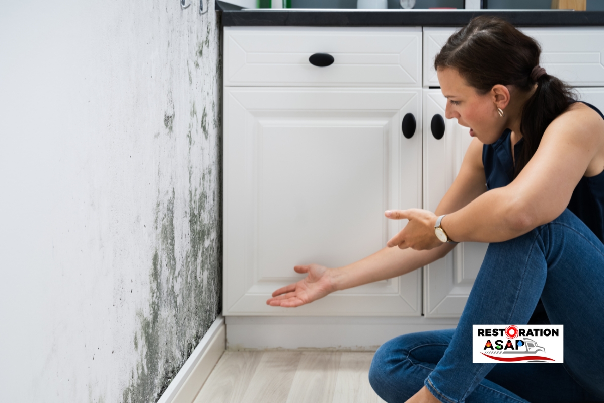 Restoration ASAP mold and mildew kitchen wall lady sitting and restoration near me RI