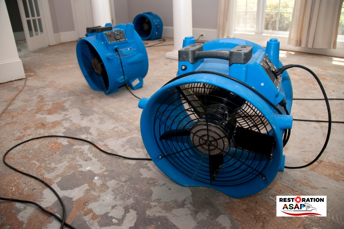 Water Drying Fans